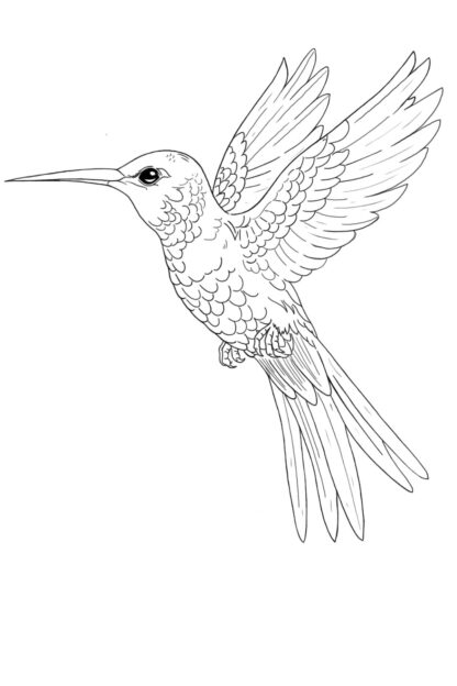 Hand drawn and sketched hummingbird flash tattoo