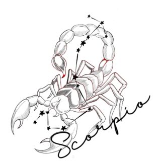 Scorpio flash tattoo